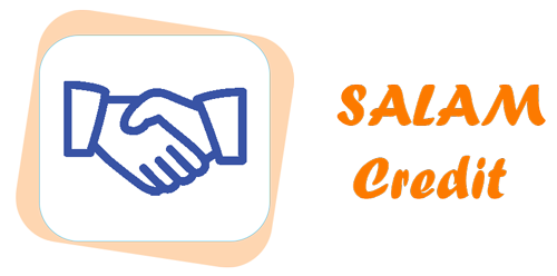 Логотип «SalamCredit»